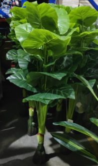 Planta Artificial Oreja de Elefante