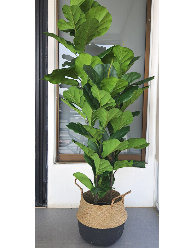 Árbol De Higo Artificial