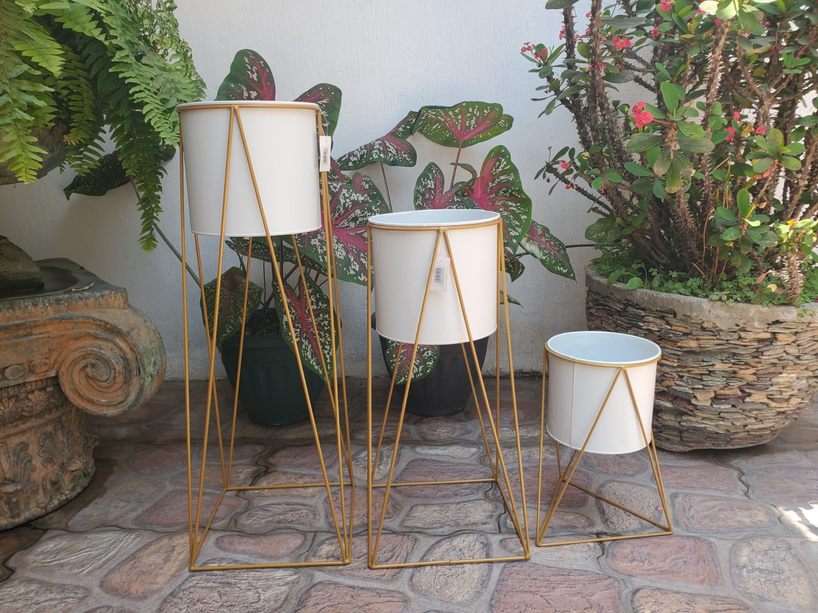 Soporte Para Plantas