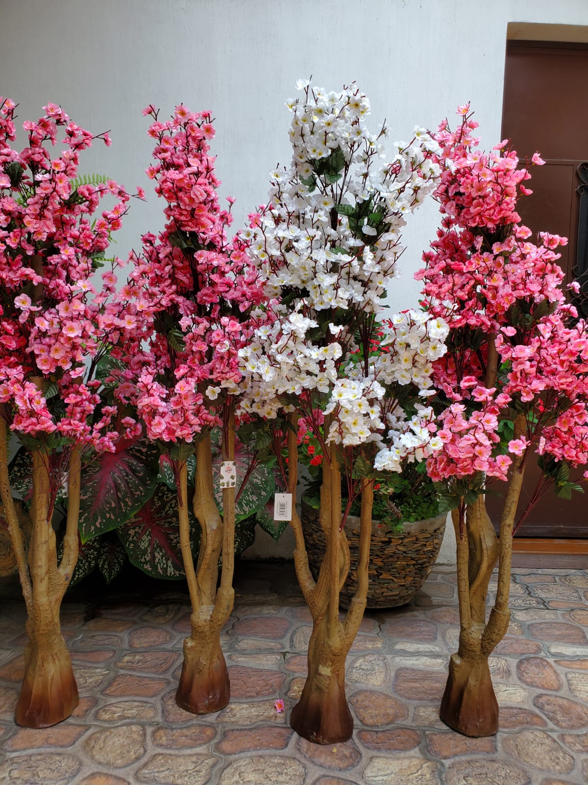 Árbol Flor De Melocotón
