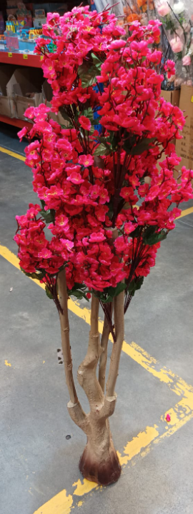 Árbol Flor De Melocotón