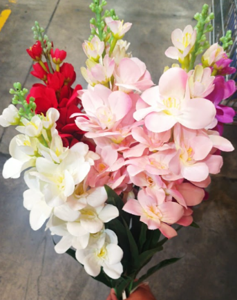 Ramo de Flor de Jacinto Cod 12345-1