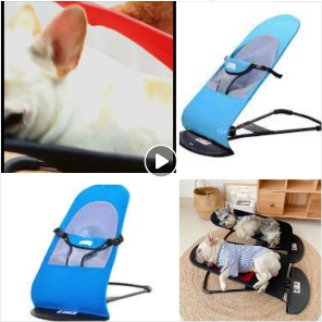 Mecedora Plegable Para Perros Cod. 20853-1