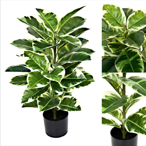 Planta  Artificial Ficus