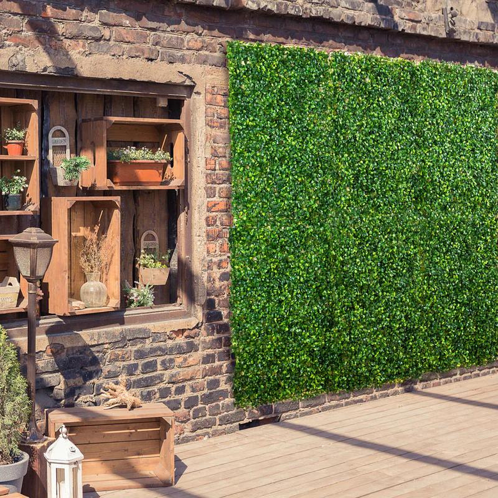 Césped Para Pared Buxus