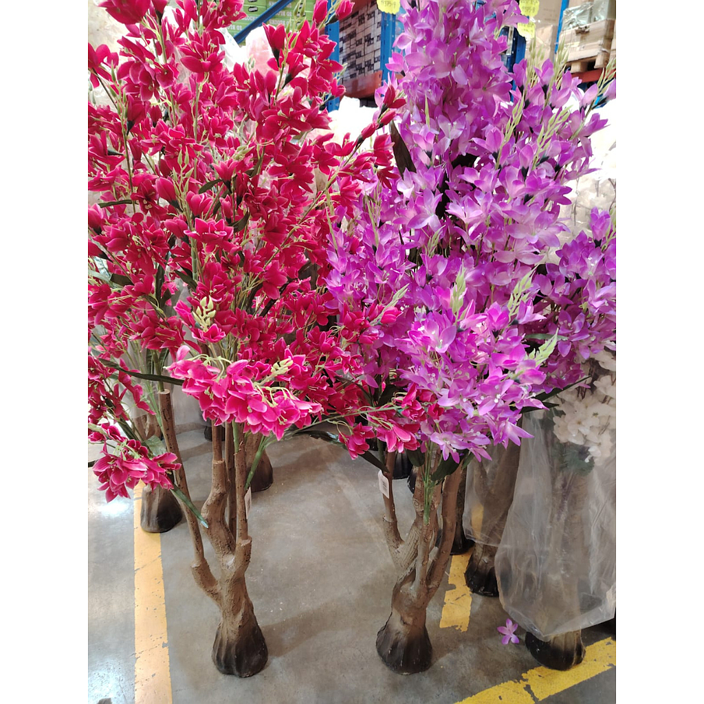 Árbol De Sakura