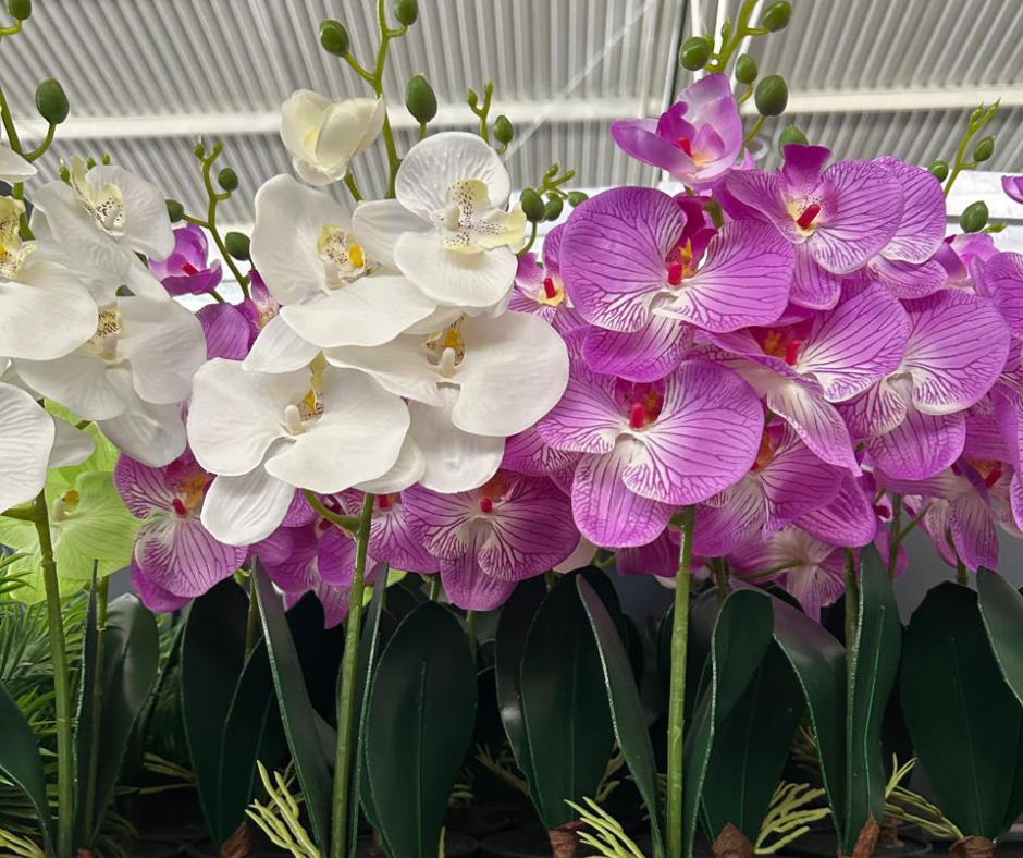 🌸Dúo De Orquídeas Artificiales🌸