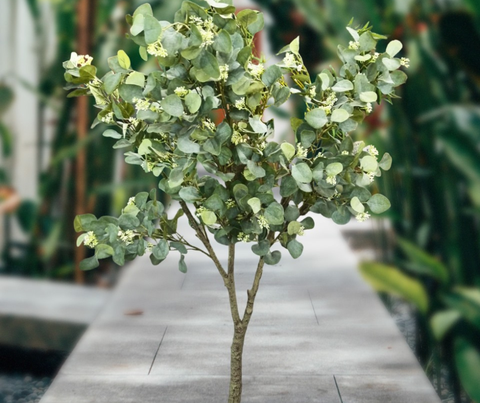 🌳Árbol de Eucalipto Artificial🌳