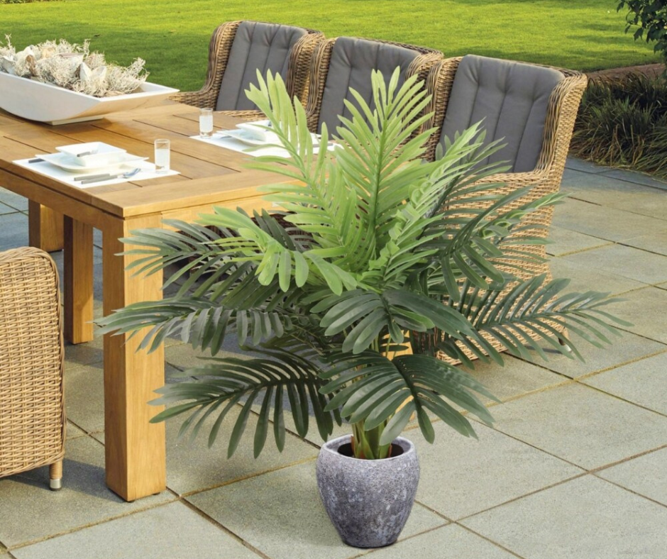🌴Mini Cycas Artificial🌴