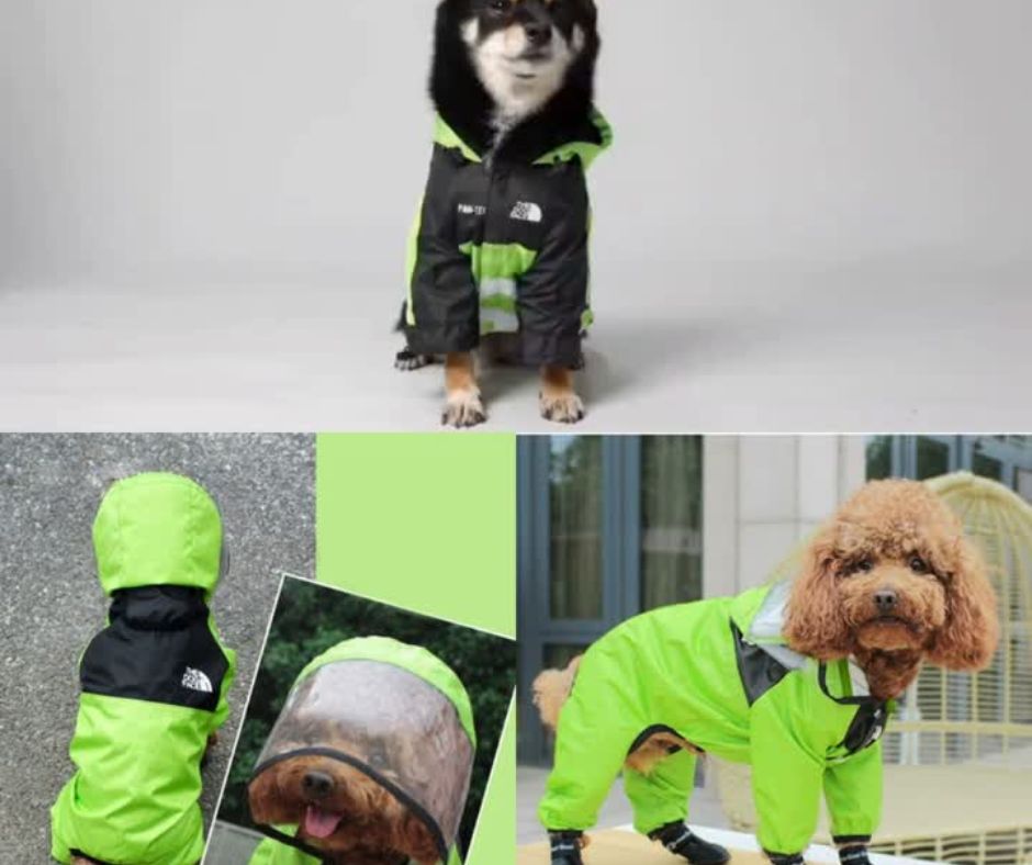 🌧Impermeable para Perros🦮
