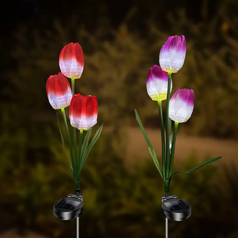 Tulipanes Solares Decorativos