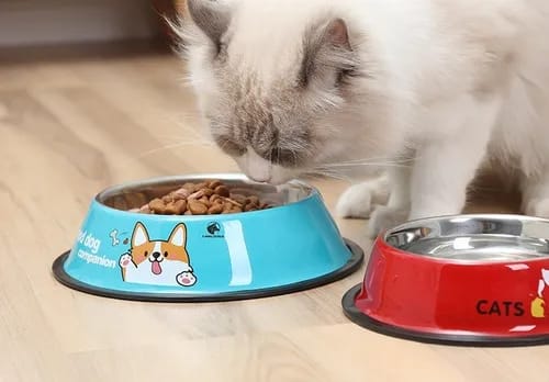 🐕Tazón para Mascotas Antideslizante😺