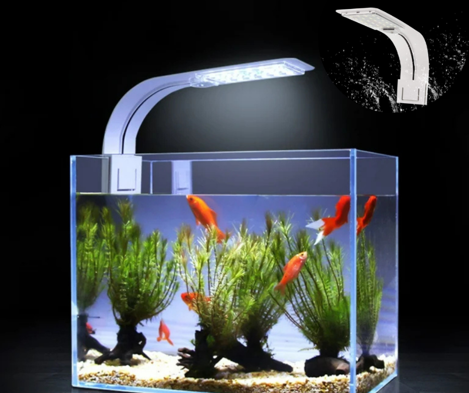 🐚Lámpara LED para pecera🐚