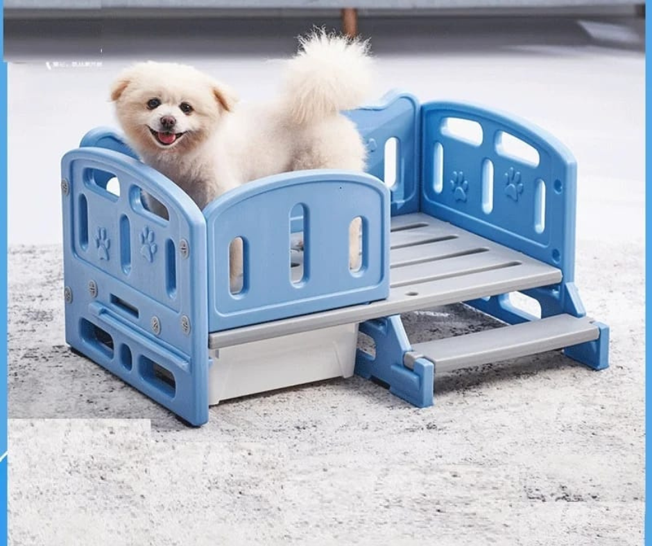 🐶Cama Elevada para Perros🐶