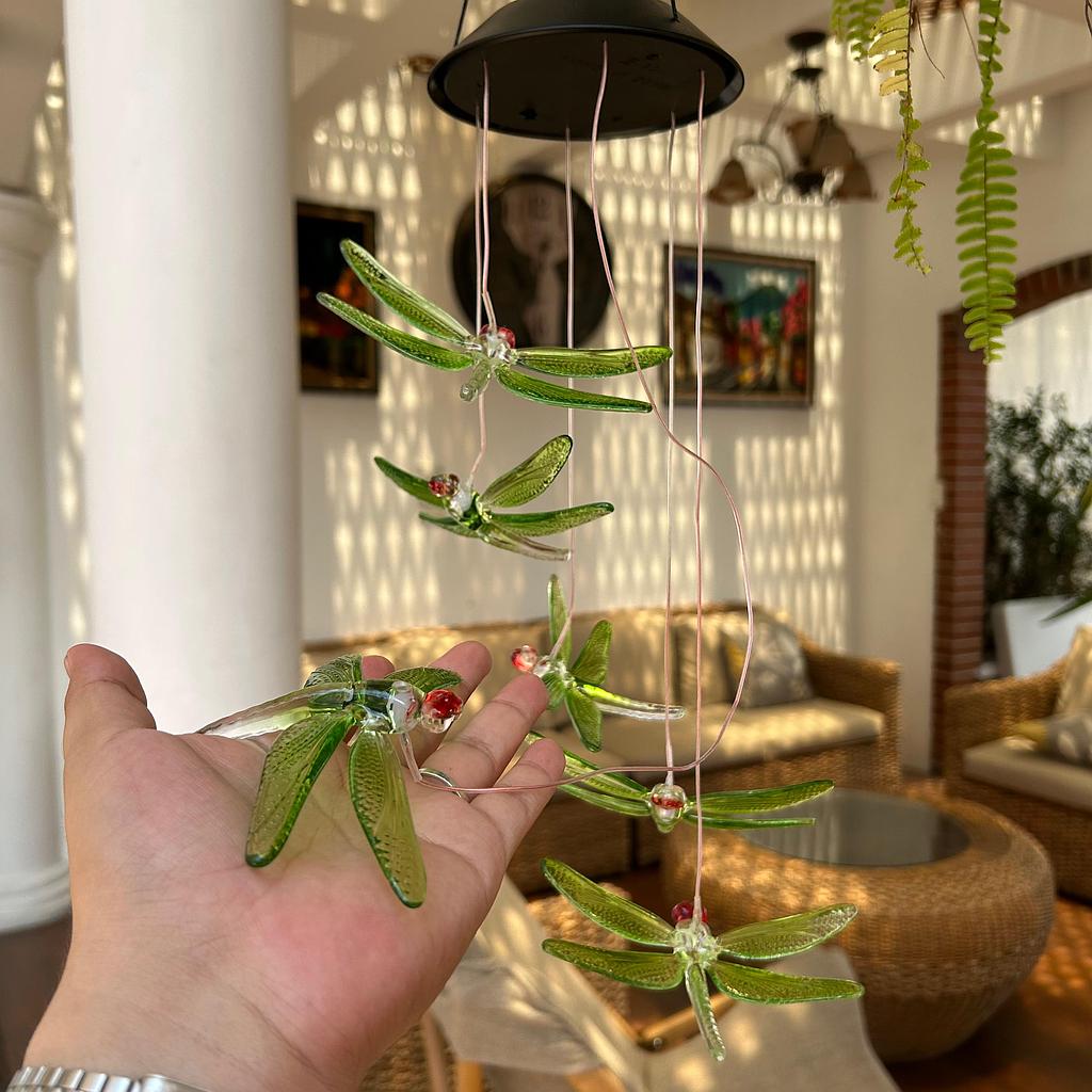 🌿Libélulas Decorativos Solares🌞