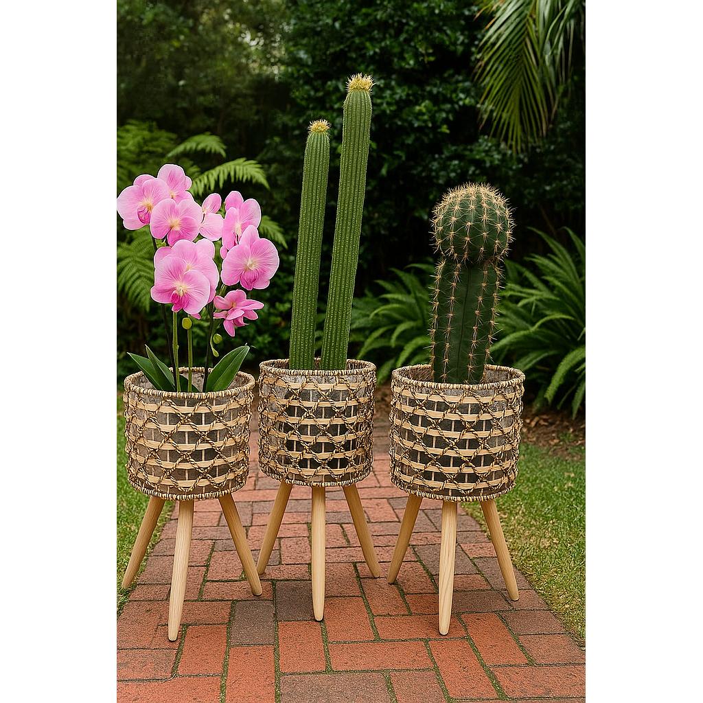 🪴Maceteros orientales 🎍