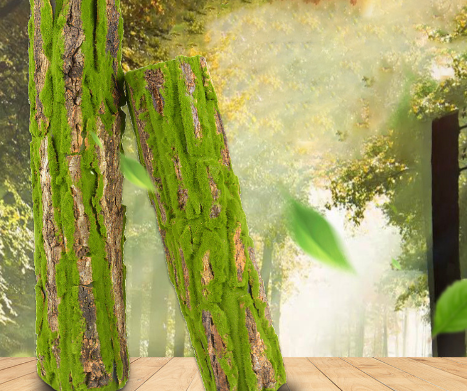 🌳 Panel corteza de árbol 🌳