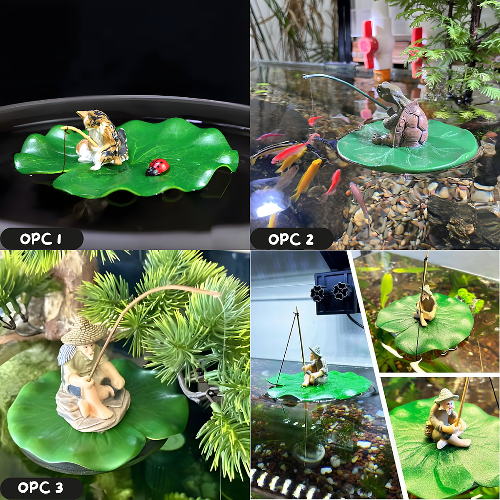 ☘️Aqua Zen flotante ☘️