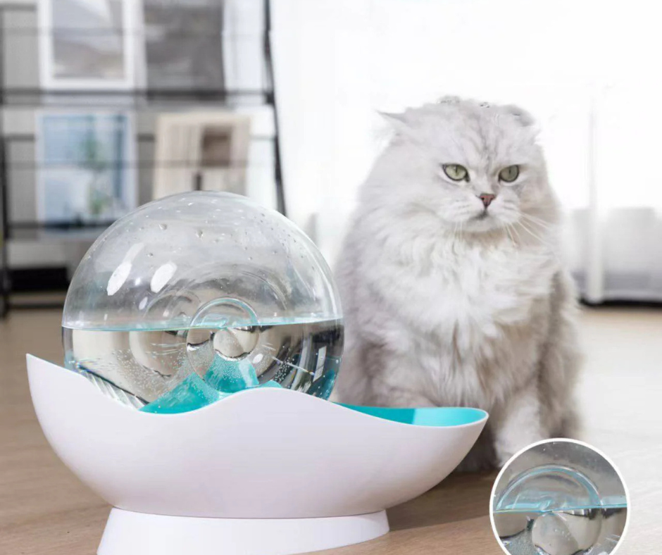 🐈Bebedero Automático En Forma de Caracol🏡