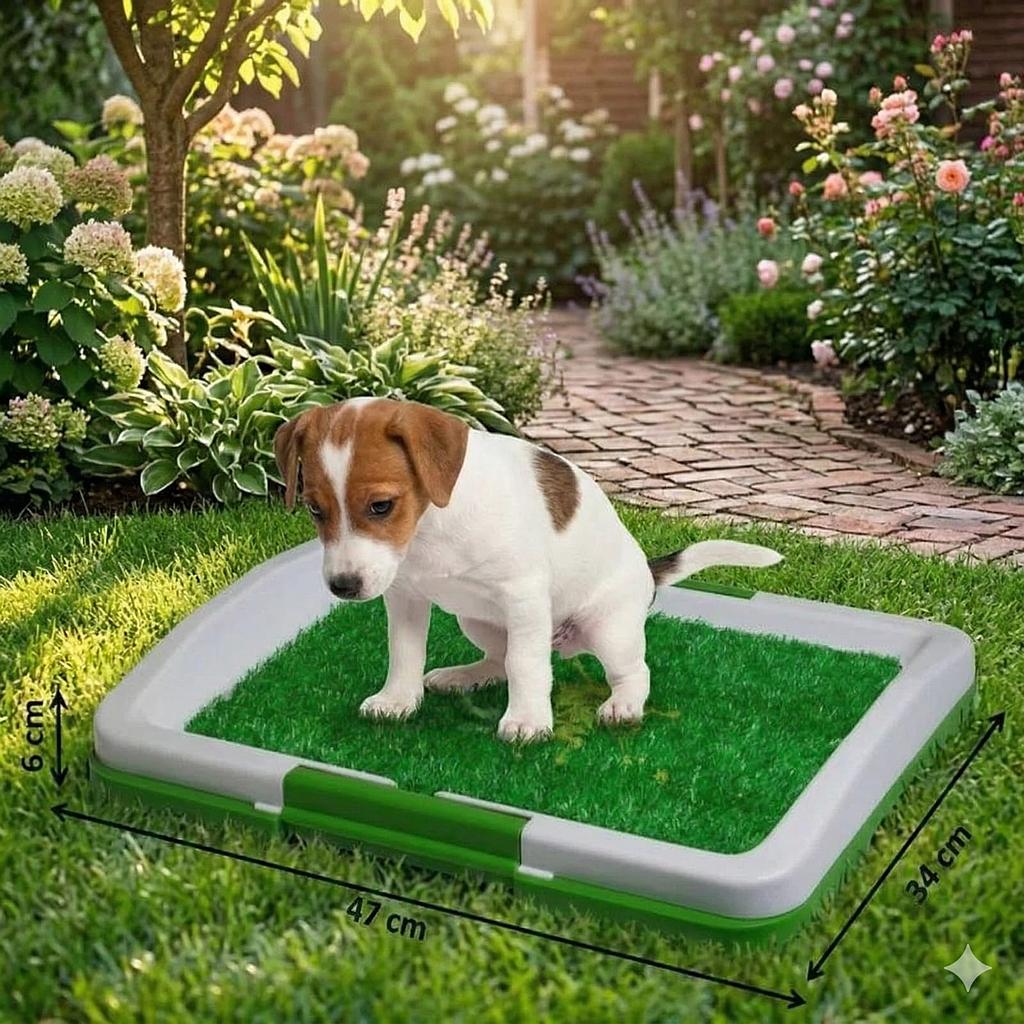 🐶Baño ecológico para mascotas🐱