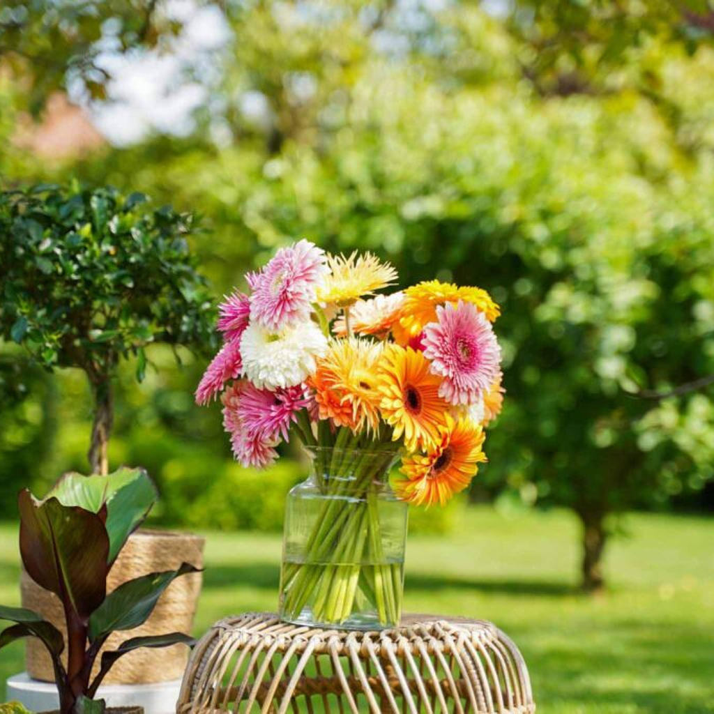 💐Ramo de Gerbera Artificial💐