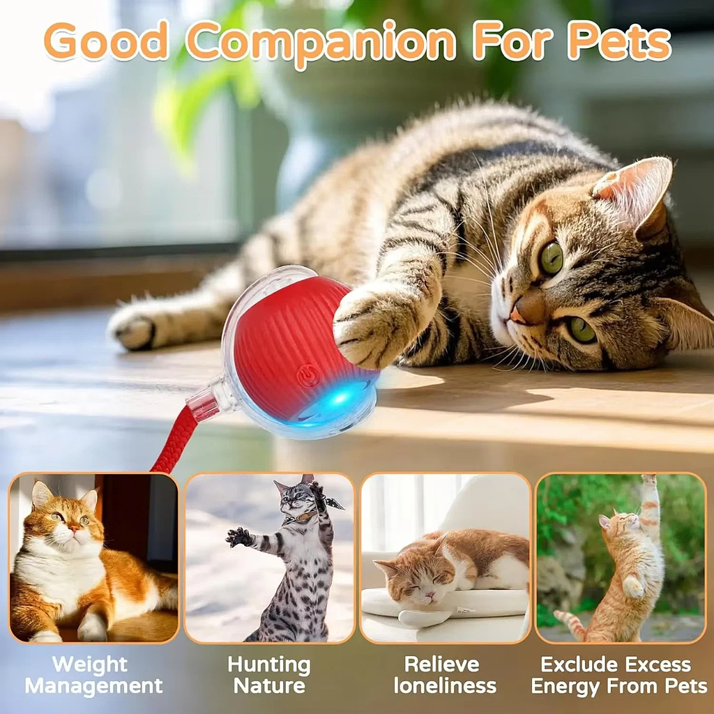 🐈Smart Ball para Mascotas🐈
