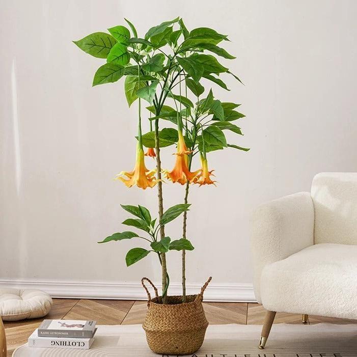 🎋 Árbol Trompeta de Ángel 🎋