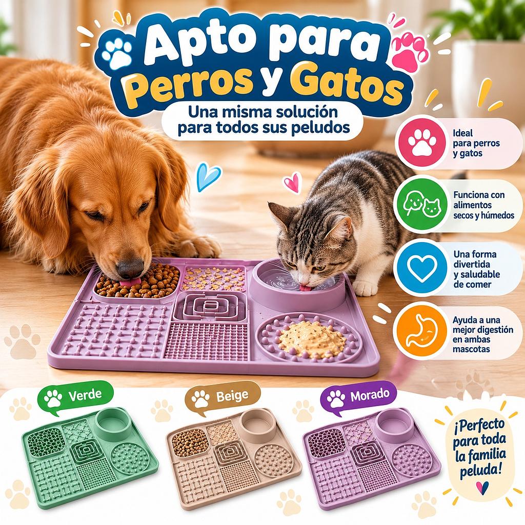 🐱Bandeja Interactiva para Mascotas🐶