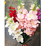 Ramo de Flor de Jacinto Cod 12345-1