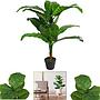 Planta Artificial Oreja de Elefante