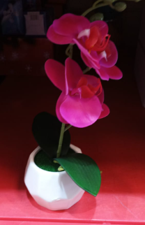 Orquideas Artificiales