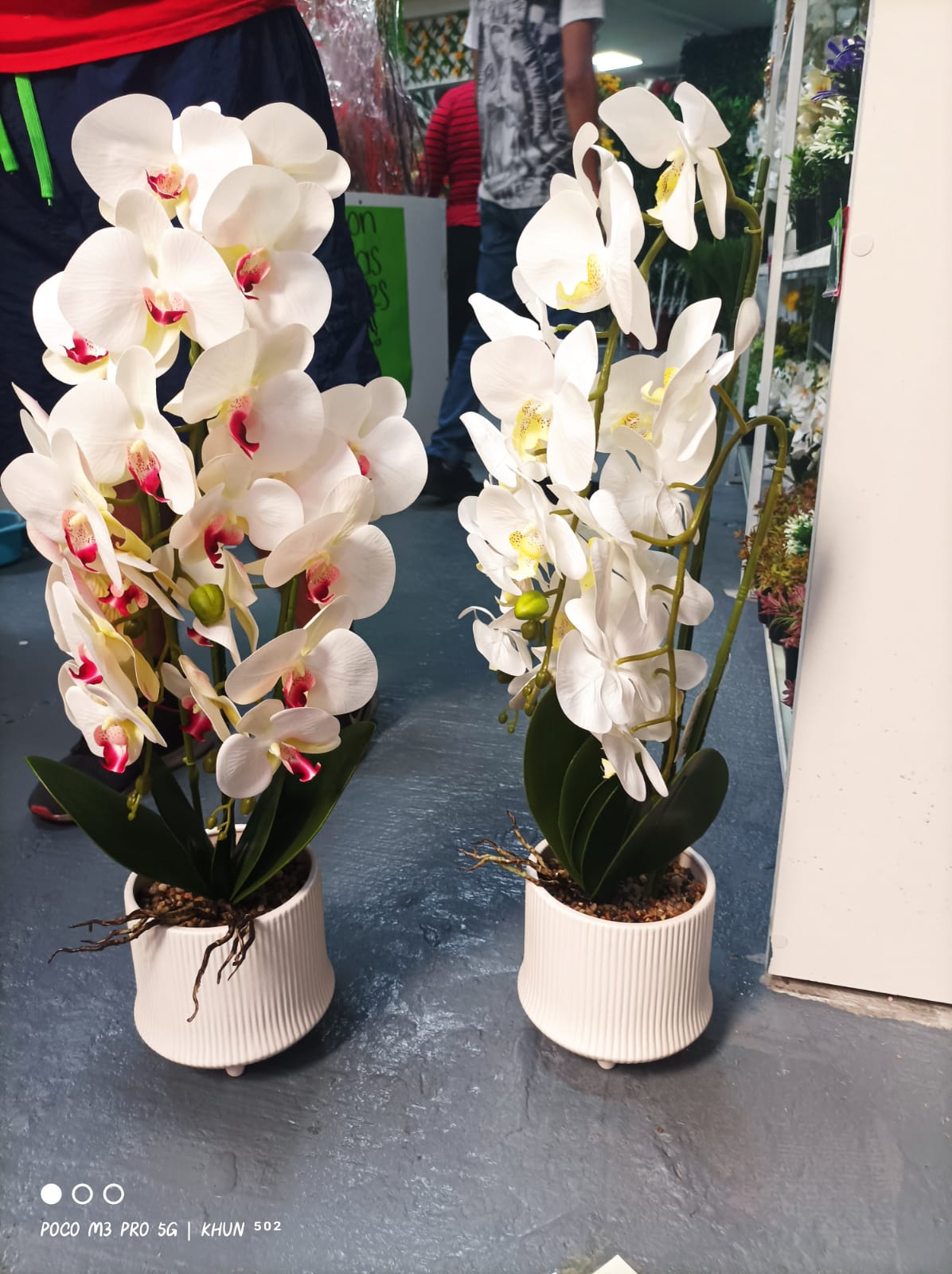 🌺Orquídeas Artificiales🌺