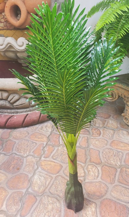 Hoja De Palmera Cod. 19375-3