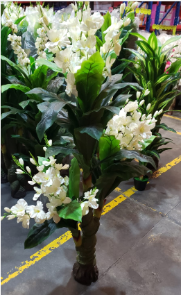 Árbol de Peonia Cod. 79375-20