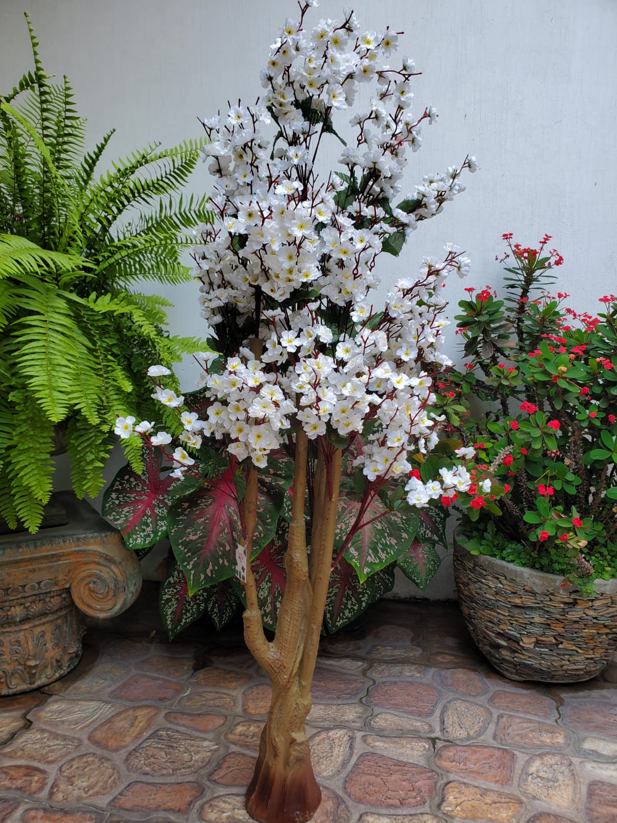 Árbol Flor De Melocotón