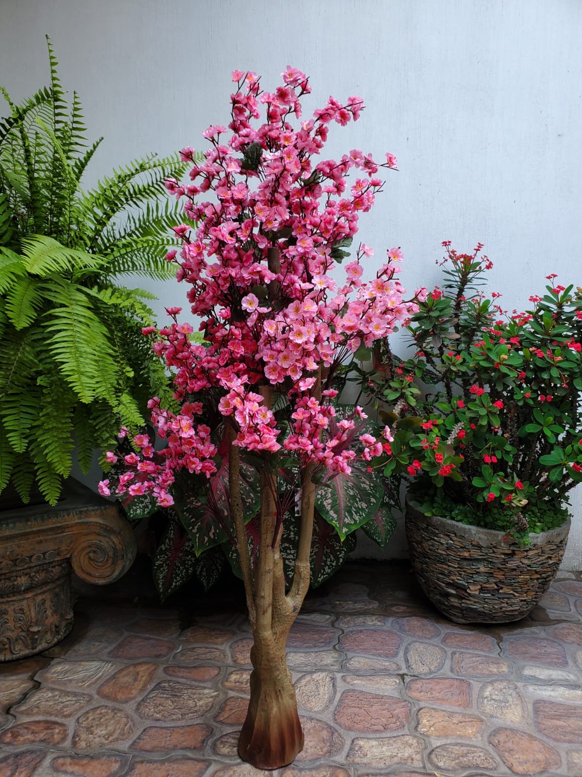 Árbol Flor De Melocotón