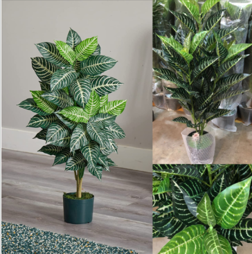 Planta Seda De Cebra Cod. 19375-29