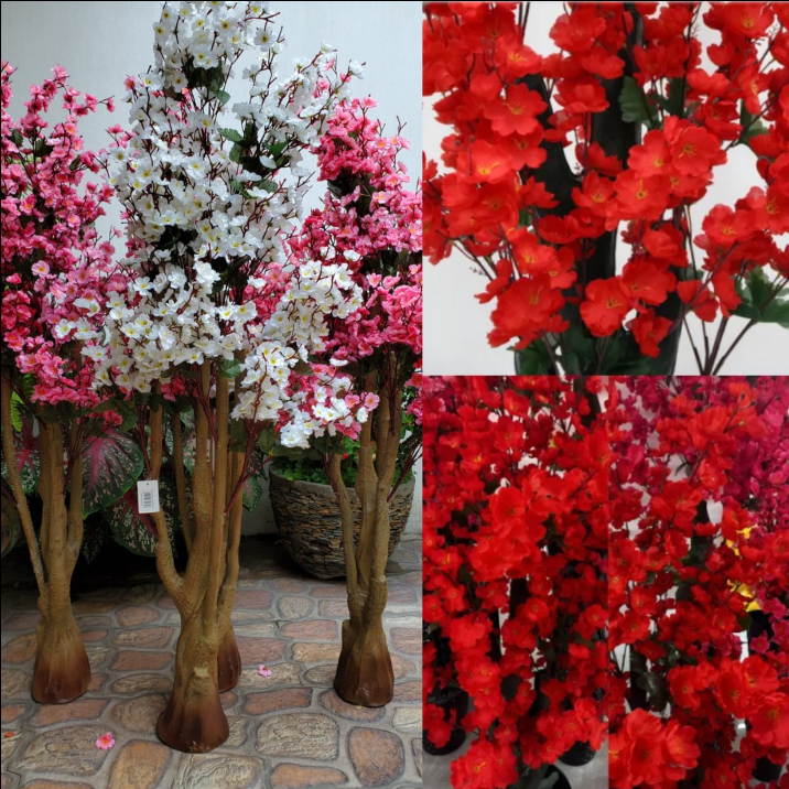 Árbol Flor De Melocotón