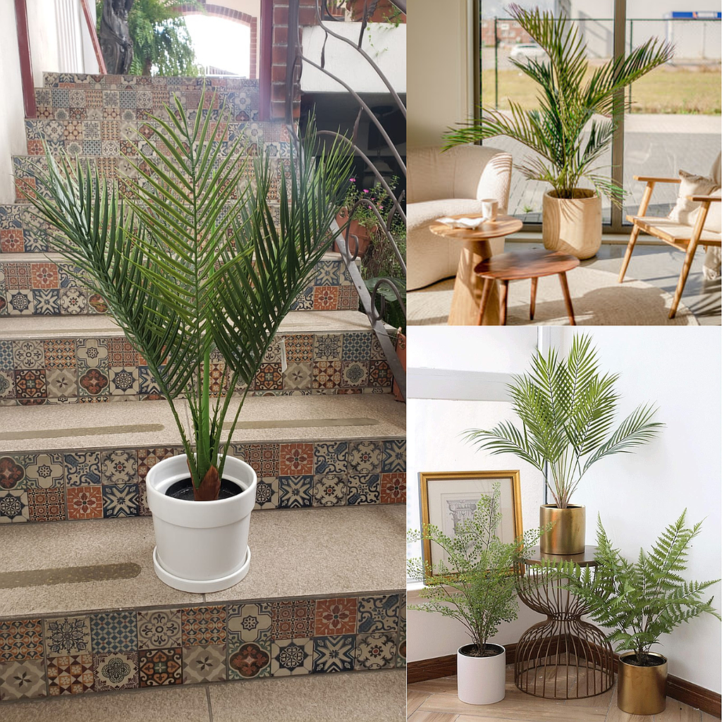 Palmera Areca