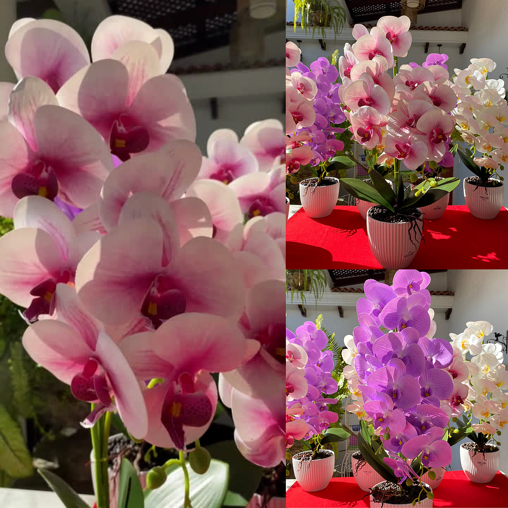 Orquídeas Artificiales
