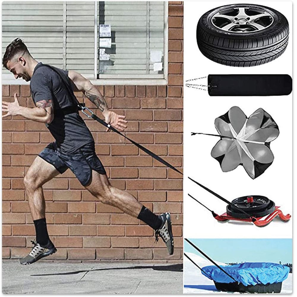 Sled Harness