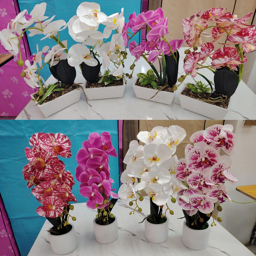 Maceta de Orquídeas Hiper Realistas