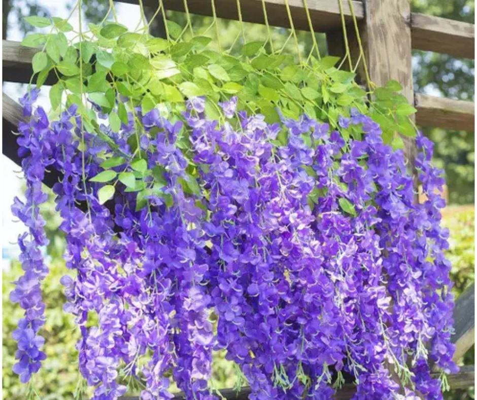🍂Wisteria artificial colgante🍁