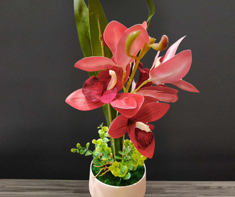🌷Orquídeas Hiper Realistas🌷