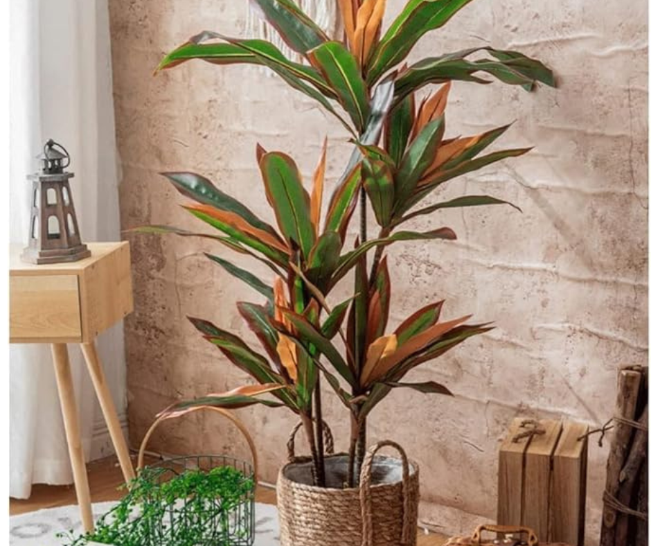 🪴Planta Artificial Dracaena Roja🪴