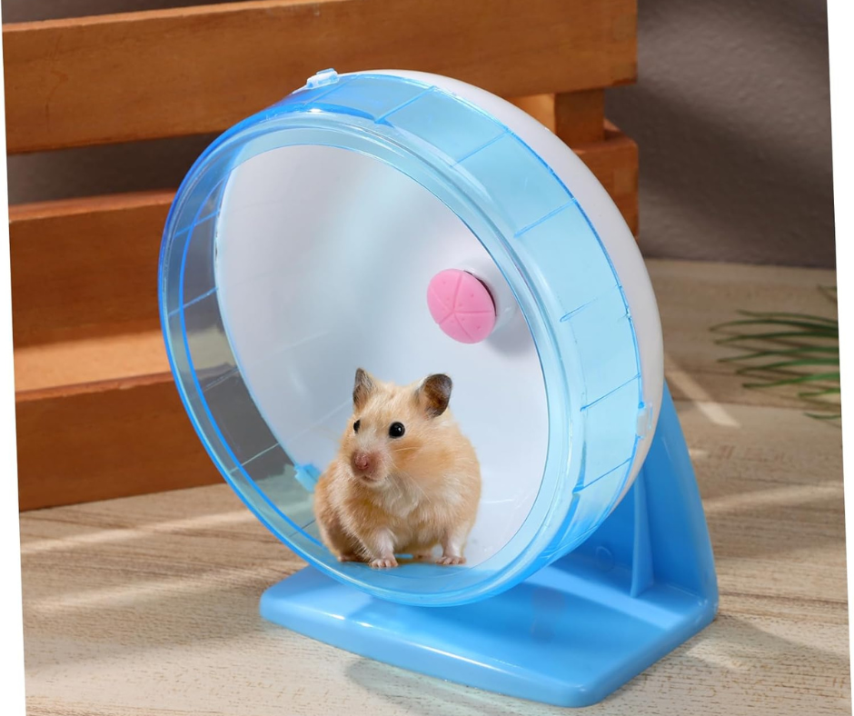 🐹Rueda de Ejercicio para Hámster🐹