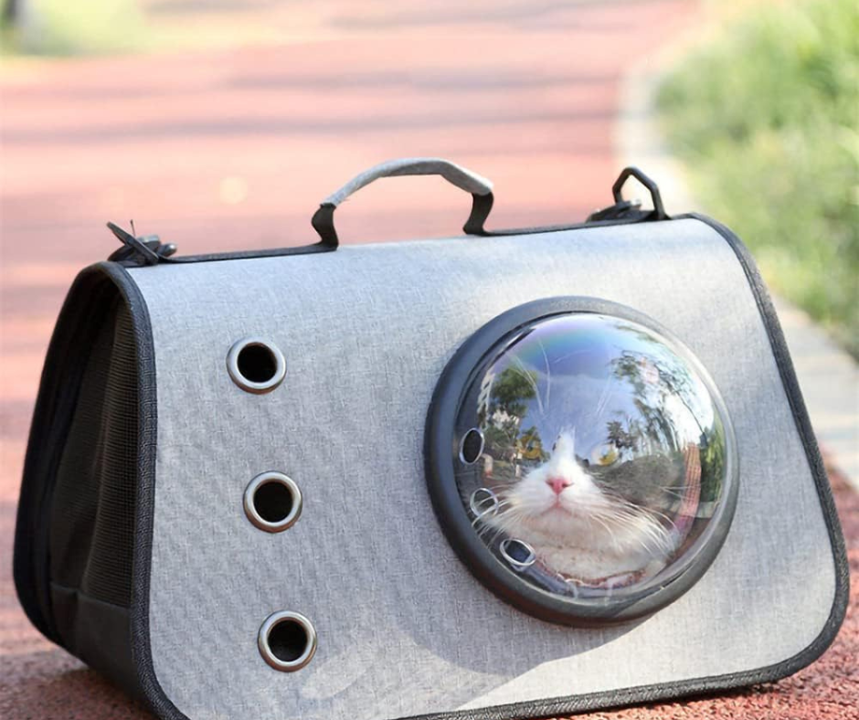 🐱Maletín para transportar Mascotas🐕