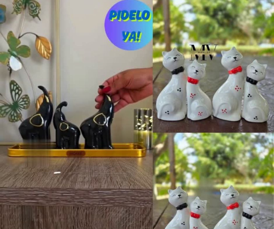🐈Dúo Fauna salvaje🐈