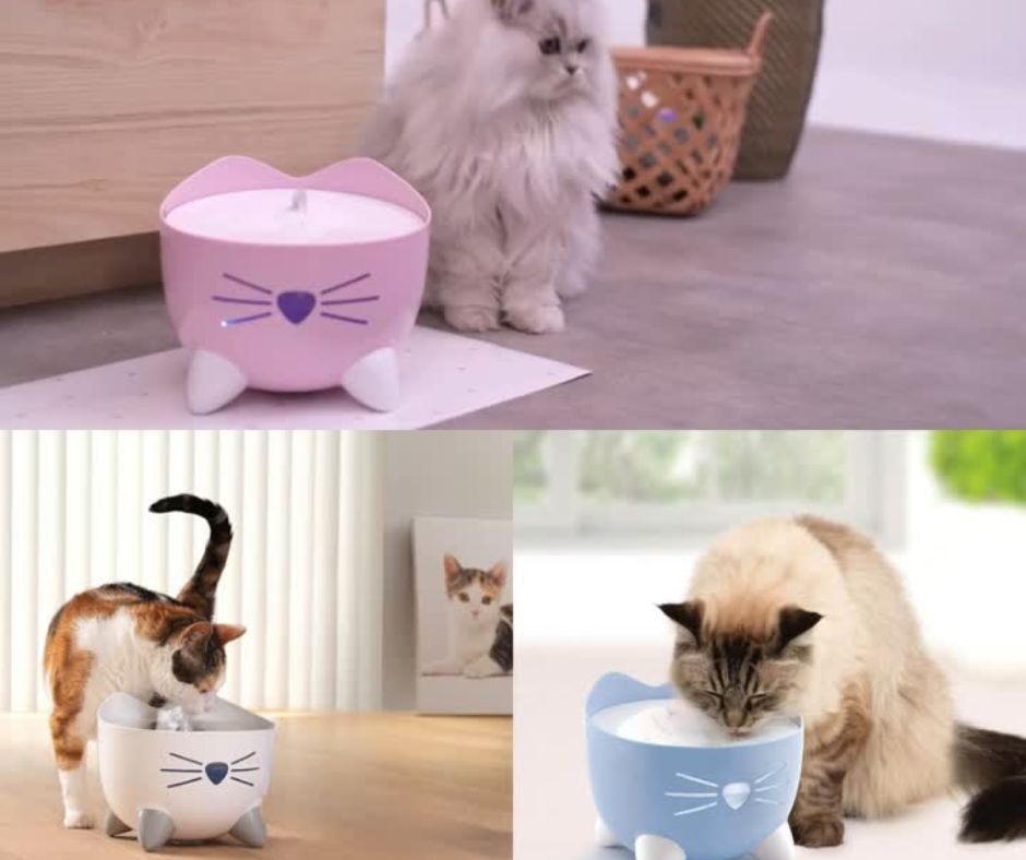 🐈Fuente De Agua Para Mascotas Pixi💧