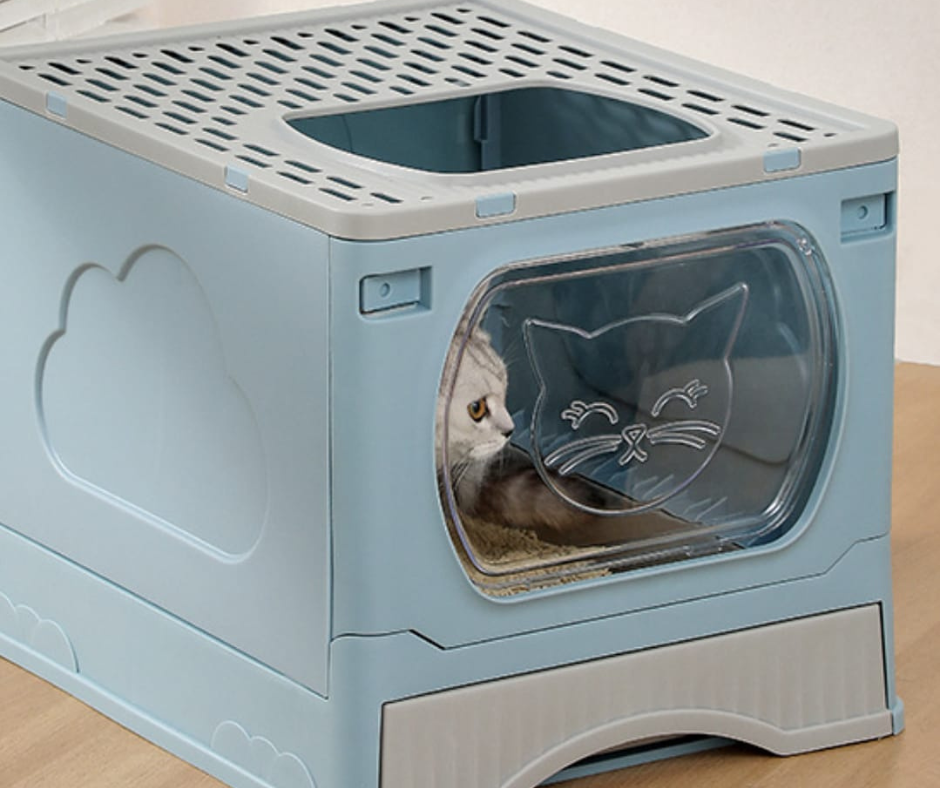 🐾Arenero Premium para Gato🐱